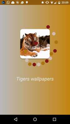 Emulate Android APK Tigers wallpapers Emulate Android APK Tigers wallpapers