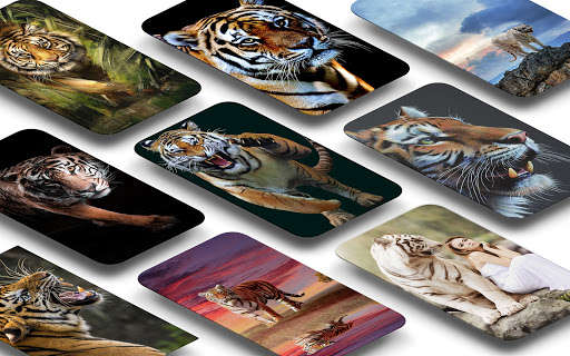 Run android online APK Tiger wallpaper Free from MyAndroid or emulate Tiger wallpaper Free using MyAndroid