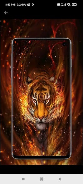 Run android online APK Tiger Wallpapers HD 4K from MyAndroid or emulate Tiger Wallpapers HD 4K using MyAndroid Run android online APK Tiger Wallpapers HD 4K from MyAndroid or emulate Tiger Wallpapers HD 4K using MyAndroid