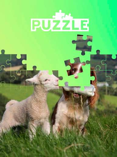Run android online APK Tile puzzle baby animals from MyAndroid or emulate Tile puzzle baby animals using MyAndroid