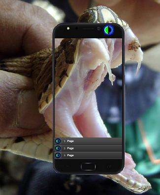 Run android online APK Tips for handling poisonous snake bites from MyAndroid or emulate Tips for handling poisonous snake bites using MyAndroid