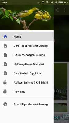 Emulate Android APK Tips Merawat Burung sirtu