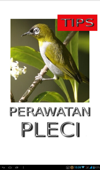 Run android online APK Tips Perawatan Burung Pleci from MyAndroid or emulate Tips Perawatan Burung Pleci using MyAndroid Run android online APK Tips Perawatan Burung Pleci from MyAndroid or emulate Tips Perawatan Burung Pleci using MyAndroid