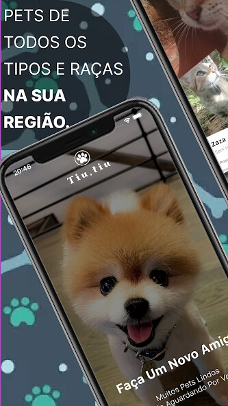 Run android online APK Tiutiu: Pet adoption from MyAndroid or emulate Tiutiu: Pet adoption using MyAndroid Run android online APK Tiutiu: Pet adoption from MyAndroid or emulate Tiutiu: Pet adoption using MyAndroid