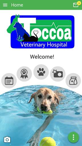 Run android online APK Toccoa Vet from MyAndroid or emulate Toccoa Vet using MyAndroid Run android online APK Toccoa Vet from MyAndroid or emulate Toccoa Vet using MyAndroid