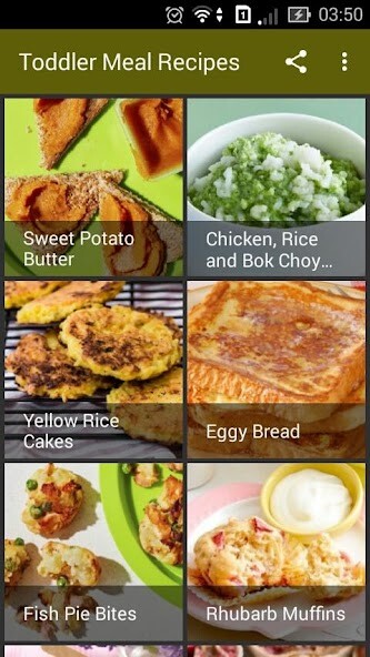 Emulate Android APK Toddler Meal Recipes Emulate Android APK Toddler Meal Recipes