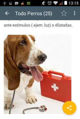 Emulate Android APK Todo de Perros