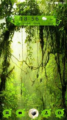 Emulate Android APK Toile 91 Launcher Pro Theme