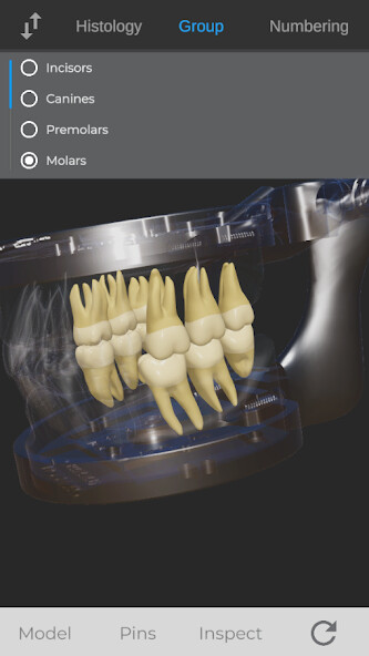 Run android online APK ToothView™ from MyAndroid or emulate ToothView™ using MyAndroid Run android online APK ToothView™ from MyAndroid or emulate ToothView™ using MyAndroid