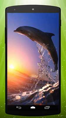 Emulate Android APK Top Dolphin Live Wallpaper Emulate Android APK Top Dolphin Live Wallpaper