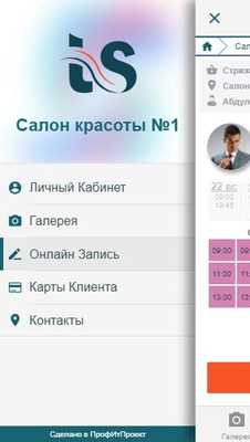 Emulate Android APK TOP SALON