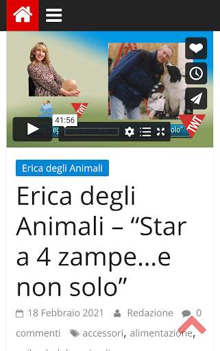 Run android online APK Torino Web TV from MyAndroid or emulate Torino Web TV using MyAndroid