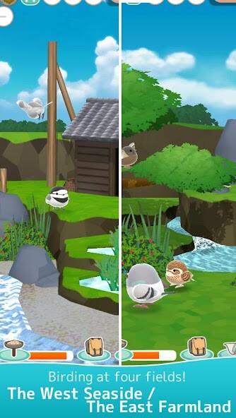 Run android online APK Tori Watch 2 - fluffy birds - from MyAndroid or emulate Tori Watch 2 - fluffy birds - using MyAndroid Run android online APK Tori Watch 2 - fluffy birds - from MyAndroid or emulate Tori Watch 2 - fluffy birds - using MyAndroid