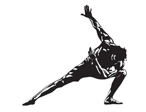Run android online APK TotalPhysiques from MyAndroid or emulate TotalPhysiques using MyAndroid