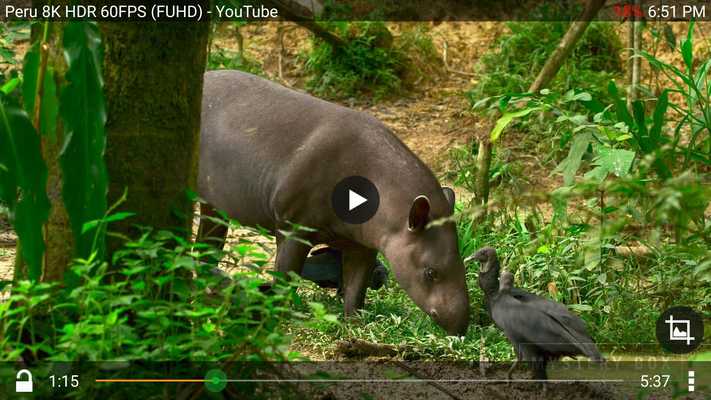 Emulate Android APK Total video player Emulate Android APK Total video player