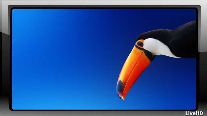 Emulate Android APK Toucan Pack 2 Wallpaper Emulate Android APK Toucan Pack 2 Wallpaper