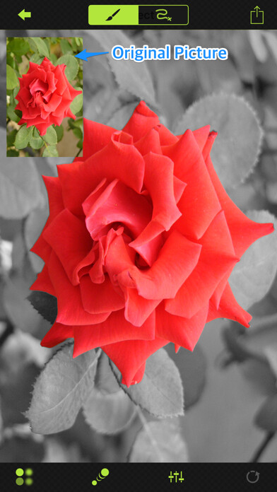 Emulate iPhone app Touch Color Agent Lite using MyAndroid