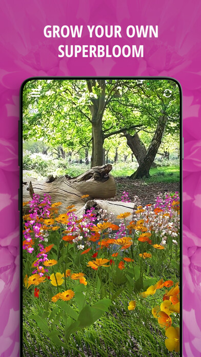 Emulate iPhone app Tower Superbloom AR using MyAndroid