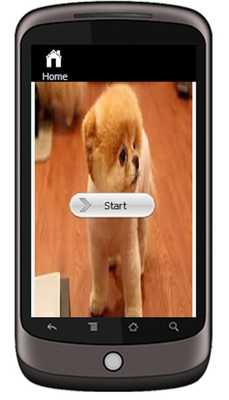 Emulate Android APK Toy Poodle