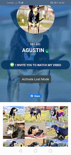 Run android online APK Trackpets from MyAndroid or emulate Trackpets using MyAndroid Run android online APK Trackpets from MyAndroid or emulate Trackpets using MyAndroid