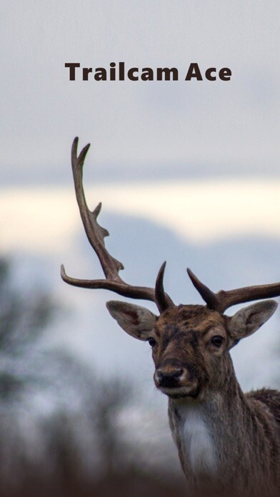 Emulate iPhone app Trailcam Ace using MyAndroid Emulate iPhone app Trailcam Ace using MyAndroid