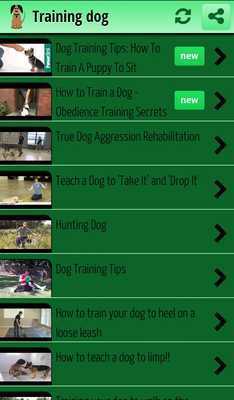 Emulate Android APK Training dog Emulate Android APK Training dog