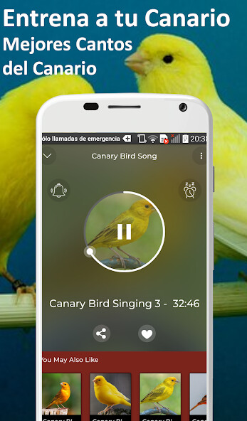 Run android online APK Train your Malinois Canary from MyAndroid or emulate Train your Malinois Canary using MyAndroid