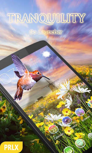 Emulate Android APK Tranquility Parallax Go Launcher Theme Emulate Android APK Tranquility Parallax Go Launcher Theme