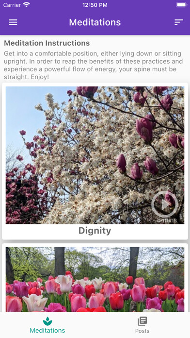 Emulate iPhone app Transformative Solutions using MyAndroid