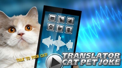 Emulate Android APK Translator Cat Pet Joke Emulate Android APK Translator Cat Pet Joke