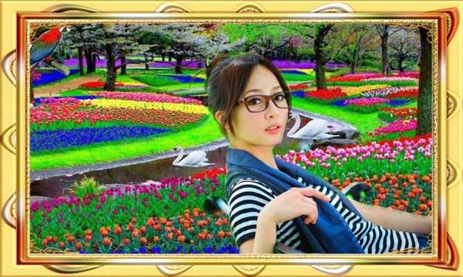 Emulate Android APK Transparent Garden Photo Frame Emulate Android APK Transparent Garden Photo Frame