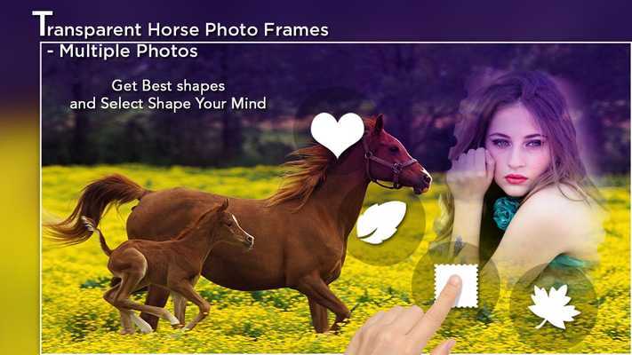 Emulate Android APK Transparent Horse Photo Frames - Multiple Photos