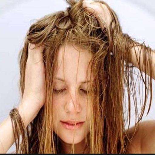 Run android online APK Tratamientos Para el Cabello Graso from MyAndroid or emulate Tratamientos Para el Cabello Graso using MyAndroid