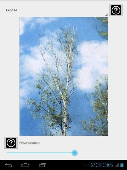 Run android online APK TreeGrade from MyAndroid or emulate TreeGrade using MyAndroid Run android online APK TreeGrade from MyAndroid or emulate TreeGrade using MyAndroid
