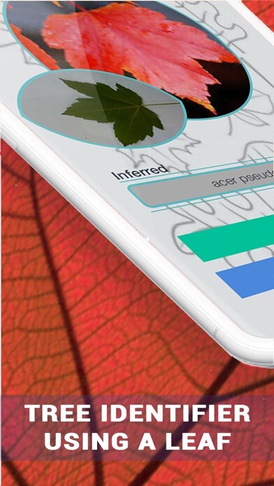 Emulate iPhone app Tree Identification -TreeID AI using MyAndroid Emulate iPhone app Tree Identification -TreeID AI using MyAndroid