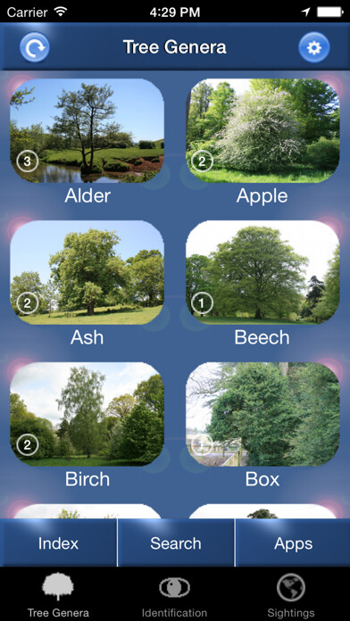 Emulate iPhone app Tree Id Netherlands - Identification Guide to Trees using MyAndroid Emulate iPhone app Tree Id Netherlands - Identification Guide to Trees using MyAndroid