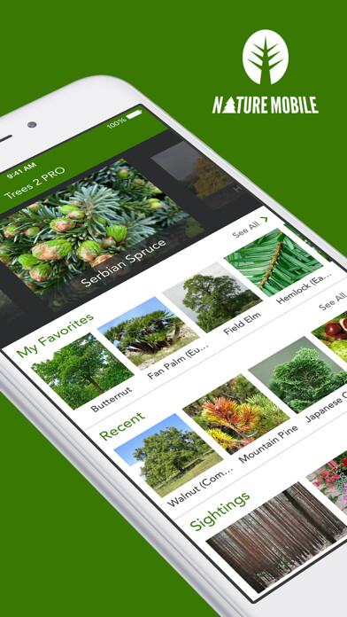 Emulate iPhone app Trees 2 PRO using MyAndroid Emulate iPhone app Trees 2 PRO using MyAndroid