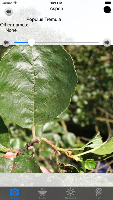 Emulate iPhone app TreeWise using MyAndroid Emulate iPhone app TreeWise using MyAndroid