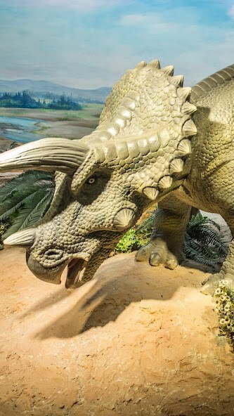 Run android online APK Triceratops Wallpaper from MyAndroid or emulate Triceratops Wallpaper using MyAndroid Run android online APK Triceratops Wallpaper from MyAndroid or emulate Triceratops Wallpaper using MyAndroid