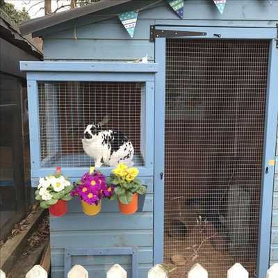 Emulate Android APK Trik Matematika SD-SMP-SMA