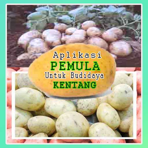 Emulate Android APK Trik Pemula Budidaya Kentang
