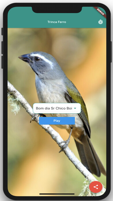 Run android online APK Trinca Ferro Verdadeiro from MyAndroid or emulate Trinca Ferro Verdadeiro using MyAndroid Run android online APK Trinca Ferro Verdadeiro from MyAndroid or emulate Trinca Ferro Verdadeiro using MyAndroid