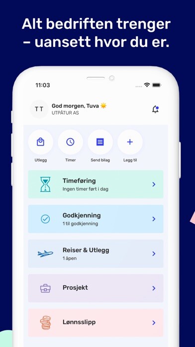 Run android online APK Tripletex from MyAndroid or emulate Tripletex using MyAndroid