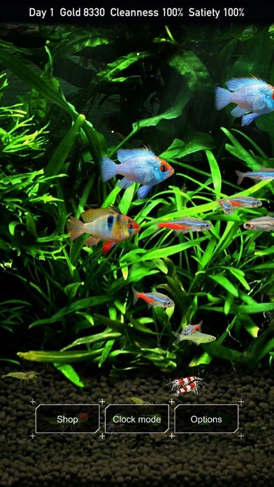 Run android online APK Tropical Fish Tank - Mini Aqua from MyAndroid or emulate Tropical Fish Tank - Mini Aqua using MyAndroid Run android online APK Tropical Fish Tank - Mini Aqua from MyAndroid or emulate Tropical Fish Tank - Mini Aqua using MyAndroid