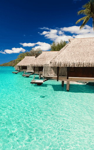Run android online APK Tropical Paradise Wallpaper HD from MyAndroid or emulate Tropical Paradise Wallpaper HD using MyAndroid Run android online APK Tropical Paradise Wallpaper HD from MyAndroid or emulate Tropical Paradise Wallpaper HD using MyAndroid