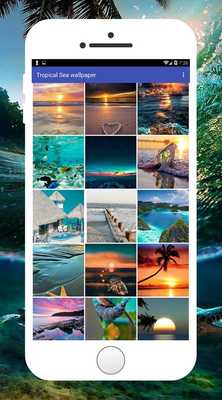 Emulate Android APK Tropical Sea Wallpaper Emulate Android APK Tropical Sea Wallpaper