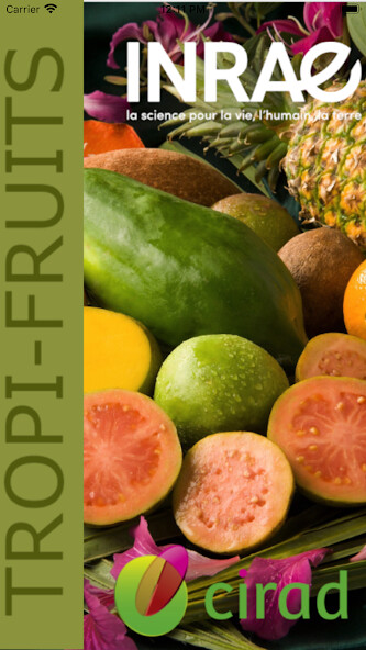 Run android online APK Tropifruits from MyAndroid or emulate Tropifruits using MyAndroid