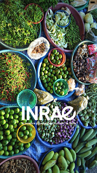 Run android online APK Tropileg from MyAndroid or emulate Tropileg using MyAndroid