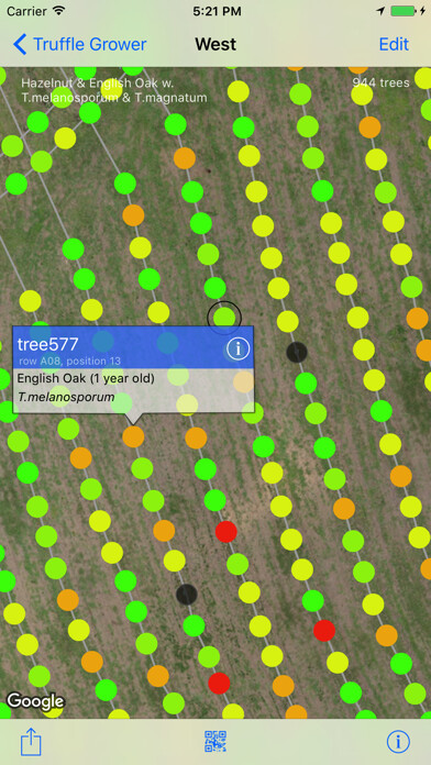 Emulate iPhone app Truffle Grower using MyAndroid Emulate iPhone app Truffle Grower using MyAndroid