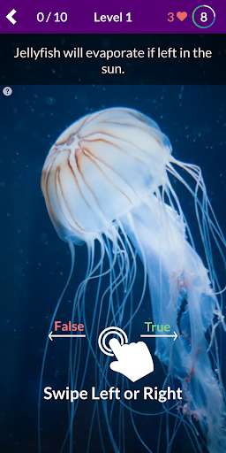 Run android online APK TruVia! - True False Picture Quiz from MyAndroid or emulate TruVia! - True False Picture Quiz using MyAndroid